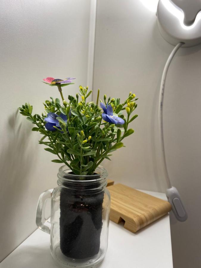 "The Gole Of Alcantara Living In The Dream'S Room" Graniti ภายนอก รูปภาพ